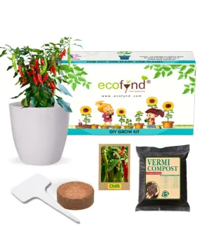 3 in 1 DIY Grow Kit Coir Chilli Pepper Plant | Set of 3 | 4 x 4 x 3 inches