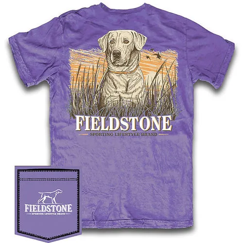 Fieldstone - Youth Marsh Lab