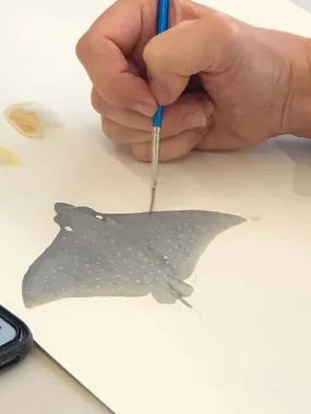 Noosa Open Studios 2024 Workshop- Painting Stingay Patterns in Watercolours and Acrylics